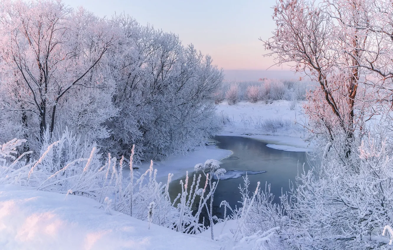 Photo wallpaper winter, frost, snow, trees, landscape, nature, river, morning