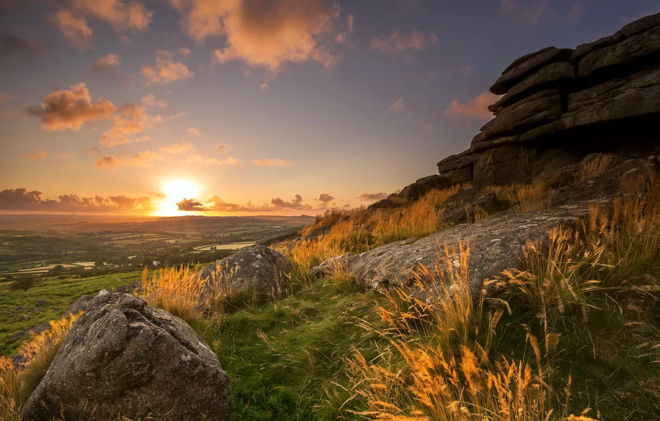 Photo wallpaper field, landscape, sunset
