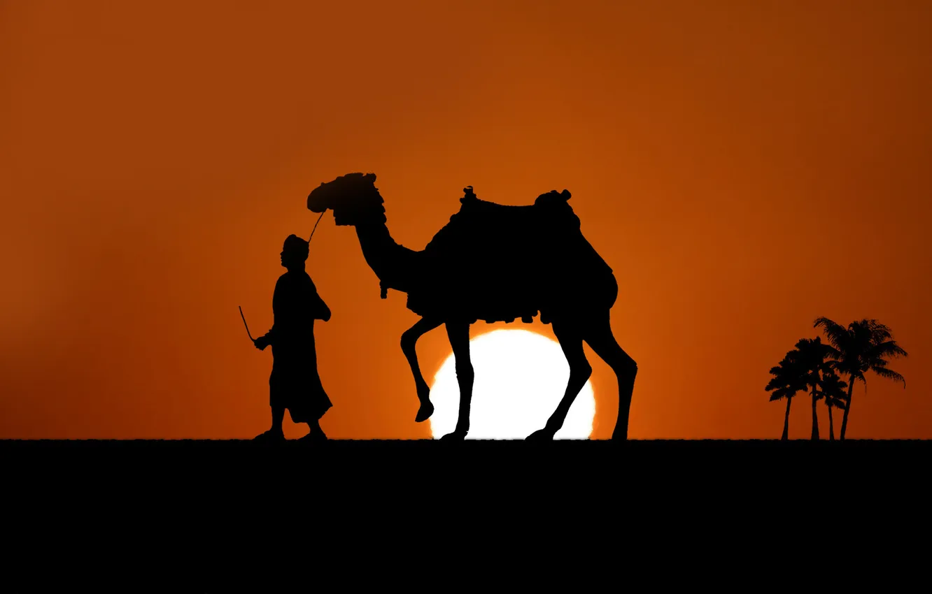 Photo wallpaper mood, Wallpaper, desert, people, minimalism, art, giraffe