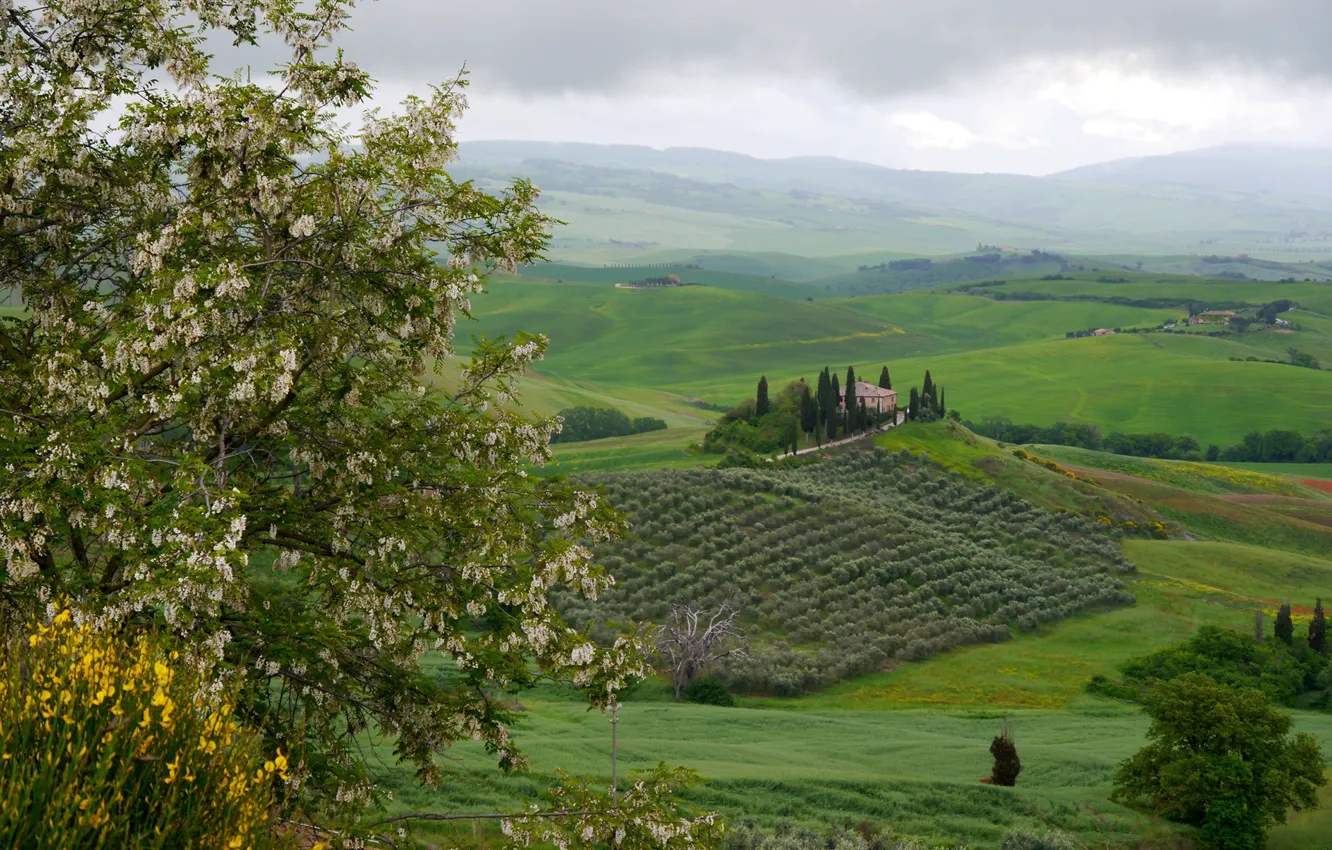 Photo wallpaper greens, clouds, trees, clouds, hills, field, Italy, houses