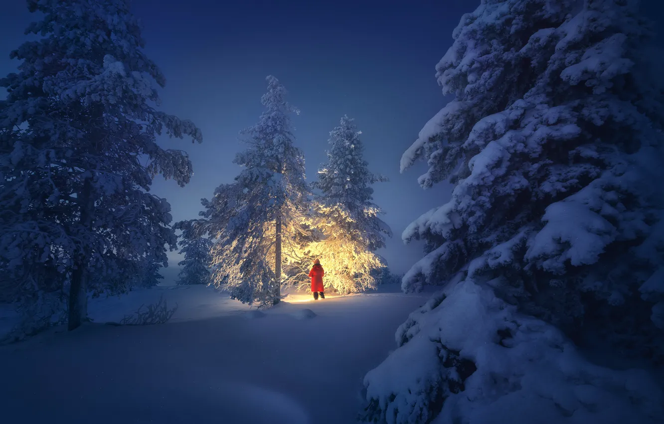 Photo wallpaper winter, light, snow, trees, landscape, nature, woman, the evening