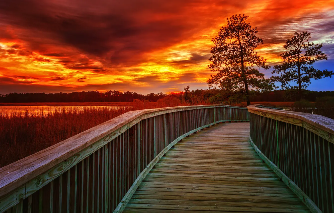 Photo wallpaper forest, the sky, grass, clouds, trees, sunset, bridge, river