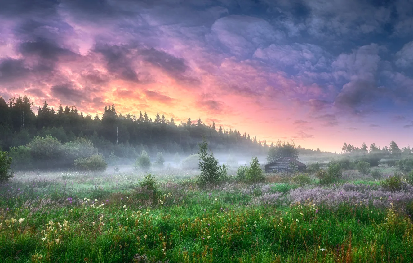 Photo wallpaper field, flowers, fog, house