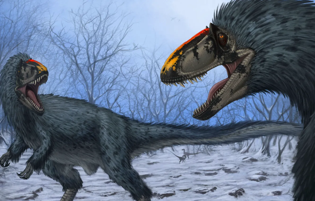 Photo wallpaper Teeth, Two, Art, Grin, Predators, Dinosaurs, Ancient animals, Utirannus, Yutyrannus huali