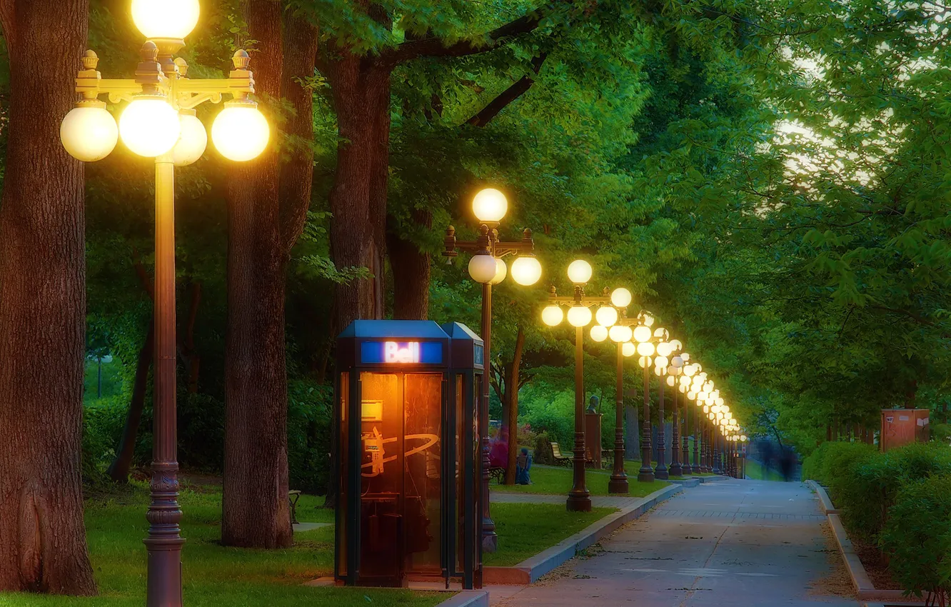 Photo wallpaper light, trees, lights, Park, the evening, lights, track, booth