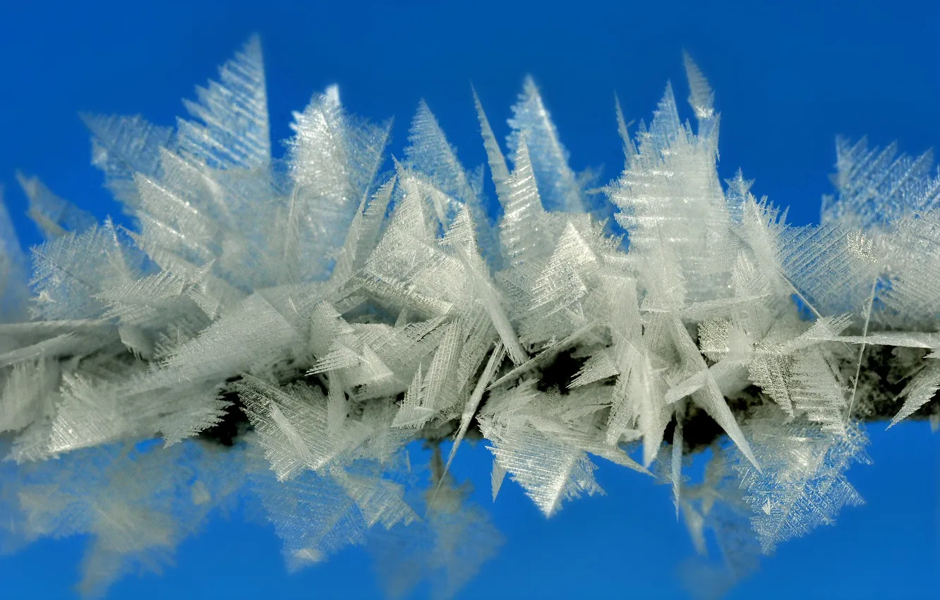 Photo wallpaper ice, winter, frost, nature, frost