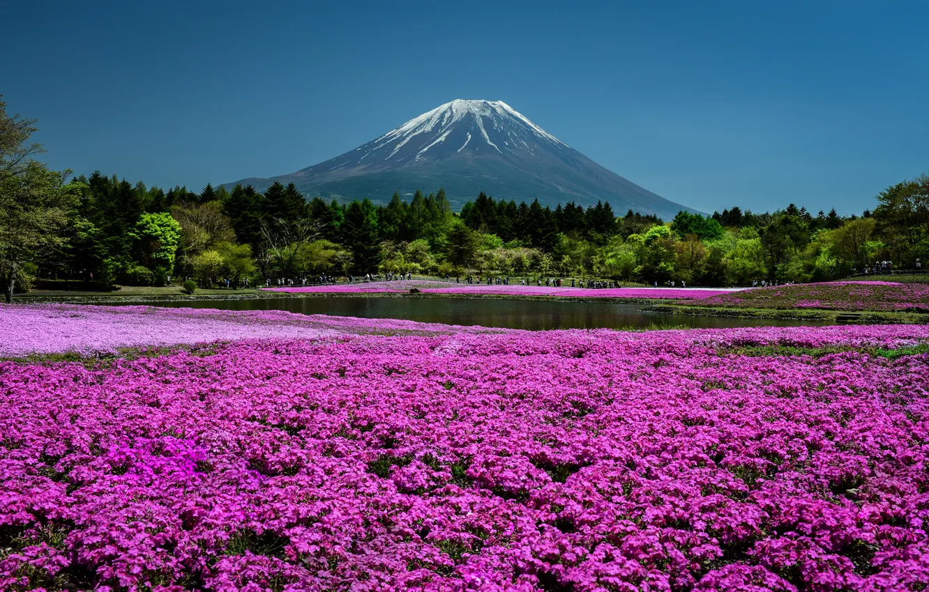 Photo wallpaper the sky, the sun, trees, flowers, mountains, pond, Park, Japan