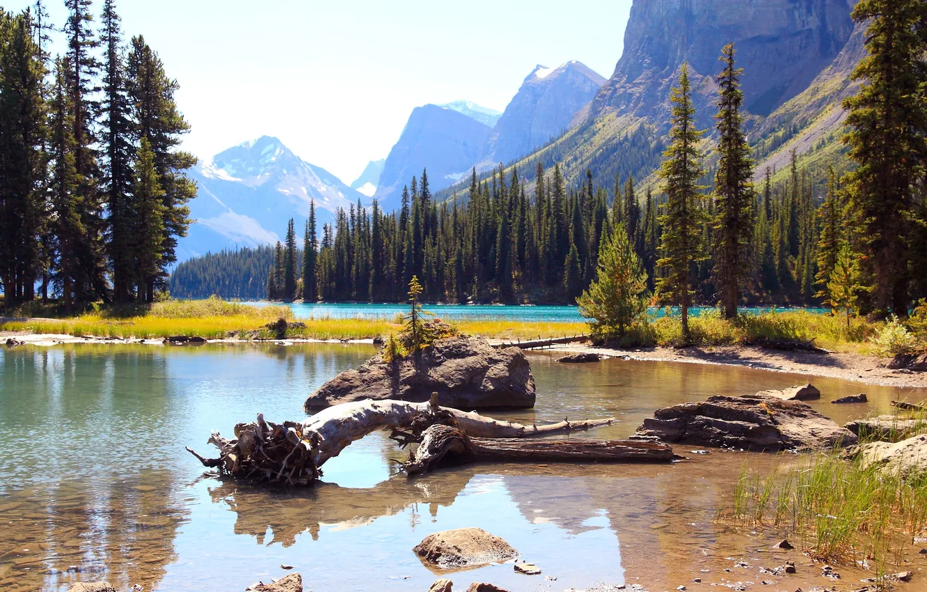 Photo wallpaper forest, trees, mountains, lake, stones, rocks, snag, Alberta