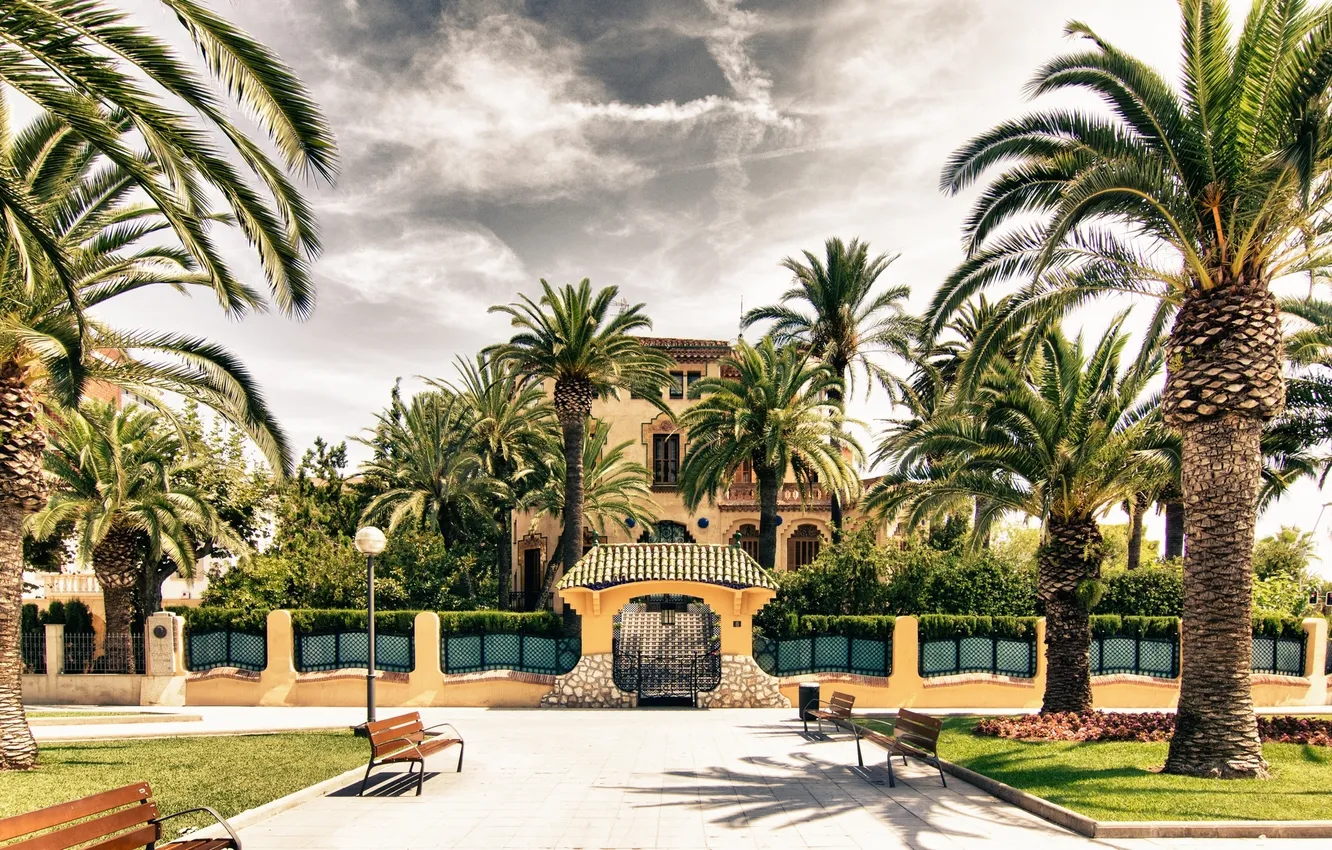 Photo wallpaper the city, palm trees, street, home, Majorca Spain