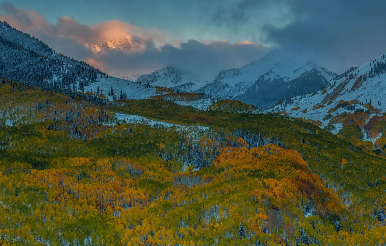 Photo wallpaper autumn, snow, trees, landscape, mountains, nature, USA