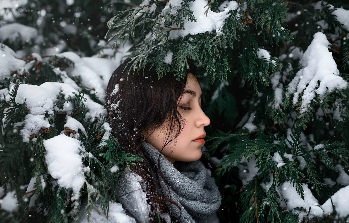 Photo wallpaper girl, snow, branches, face, green, sweetheart, model, portrait