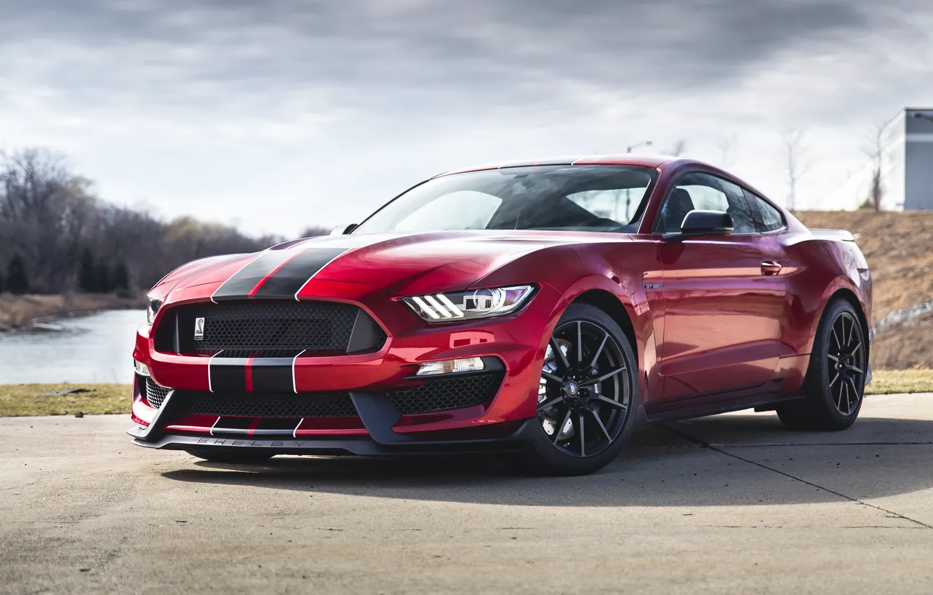 Photo wallpaper Mustang, Ford, Shelby, Ford, Mustang, GT350, Shelby, Ford Mustang Shelby GT350