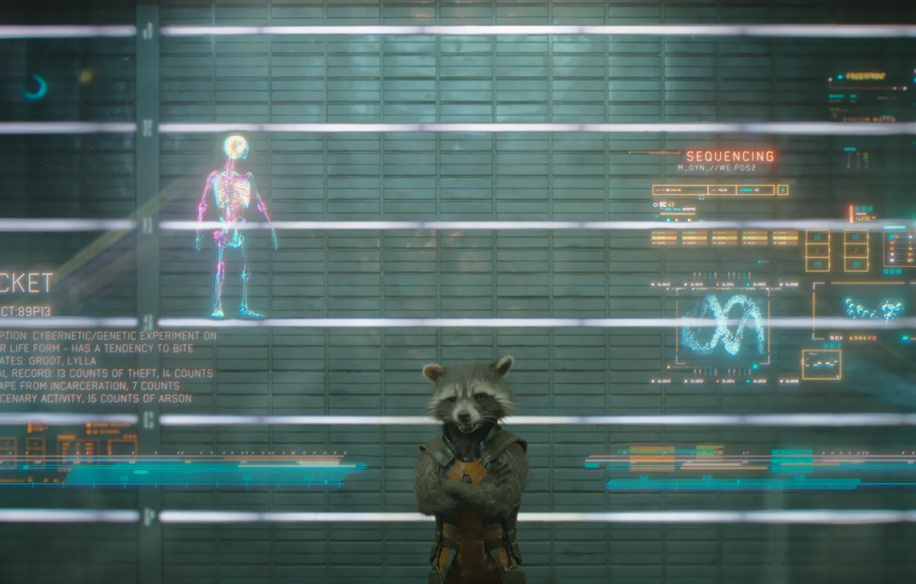 Photo wallpaper marvel, marvel, Guardian of the galaxy, guardians of the galaxy, rocket raccoon, rocket raccoon