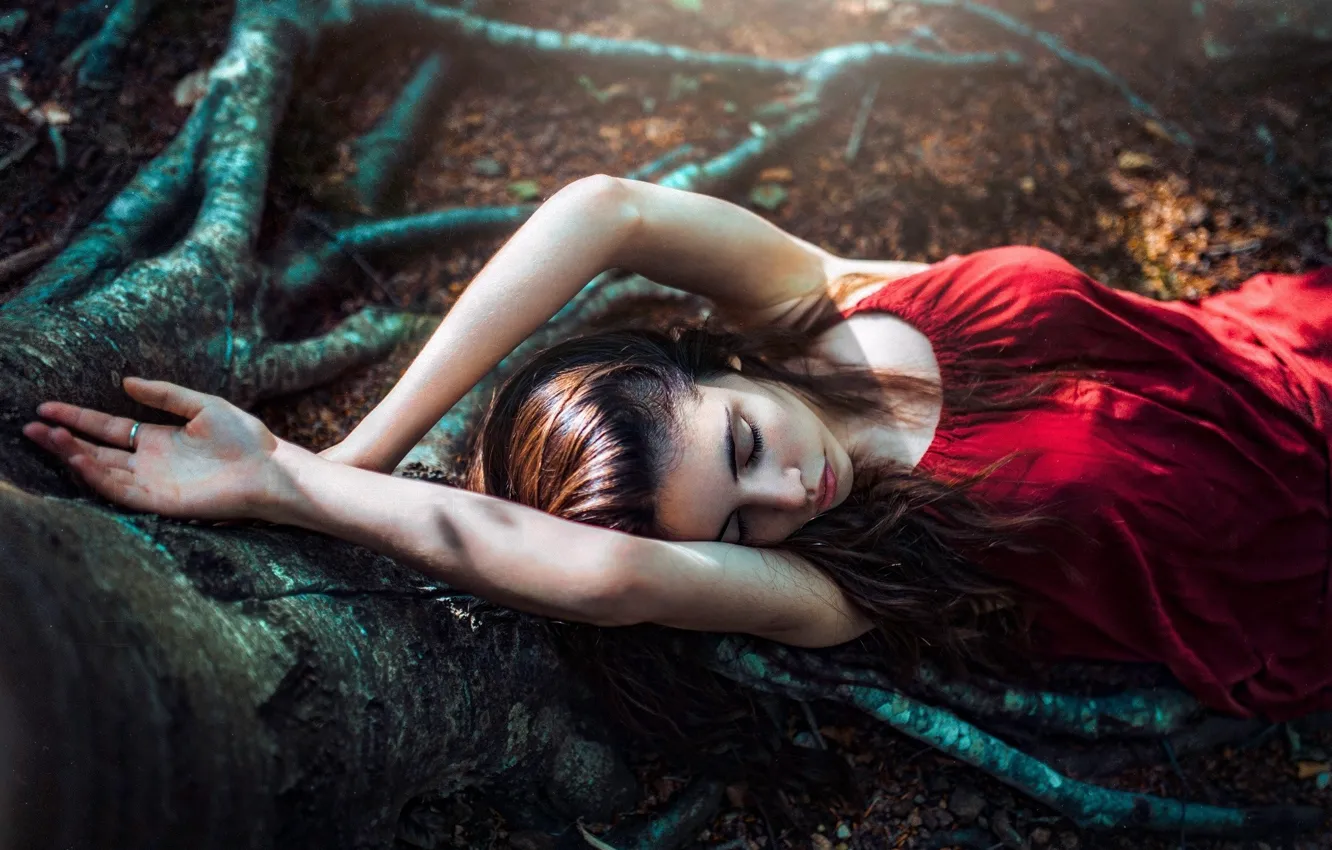 Photo wallpaper forest, the sun, nature, roots, pose, tree, makeup, dress