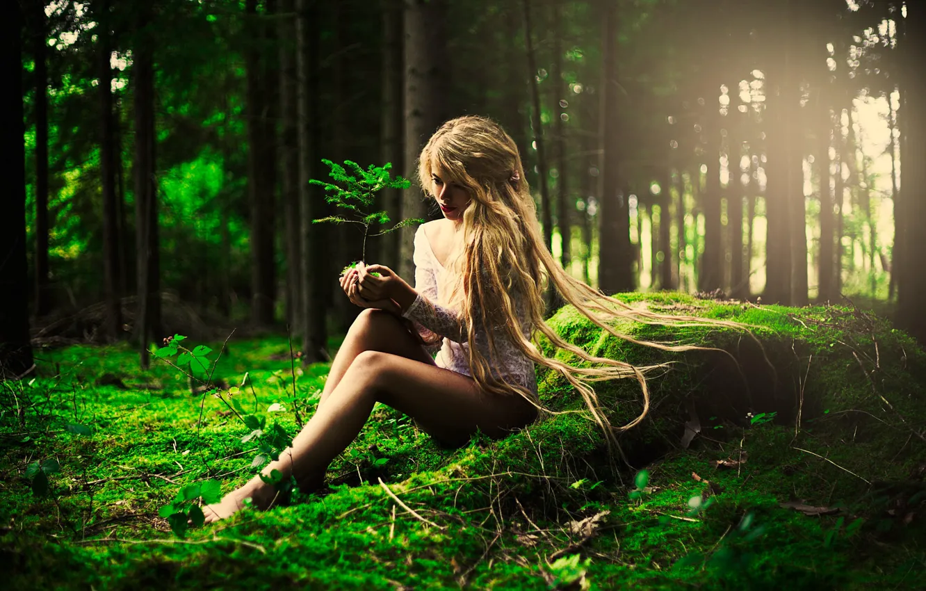 Photo wallpaper greens, forest, hair, moss, photographer Karolina Ryvolova, The Marketa model