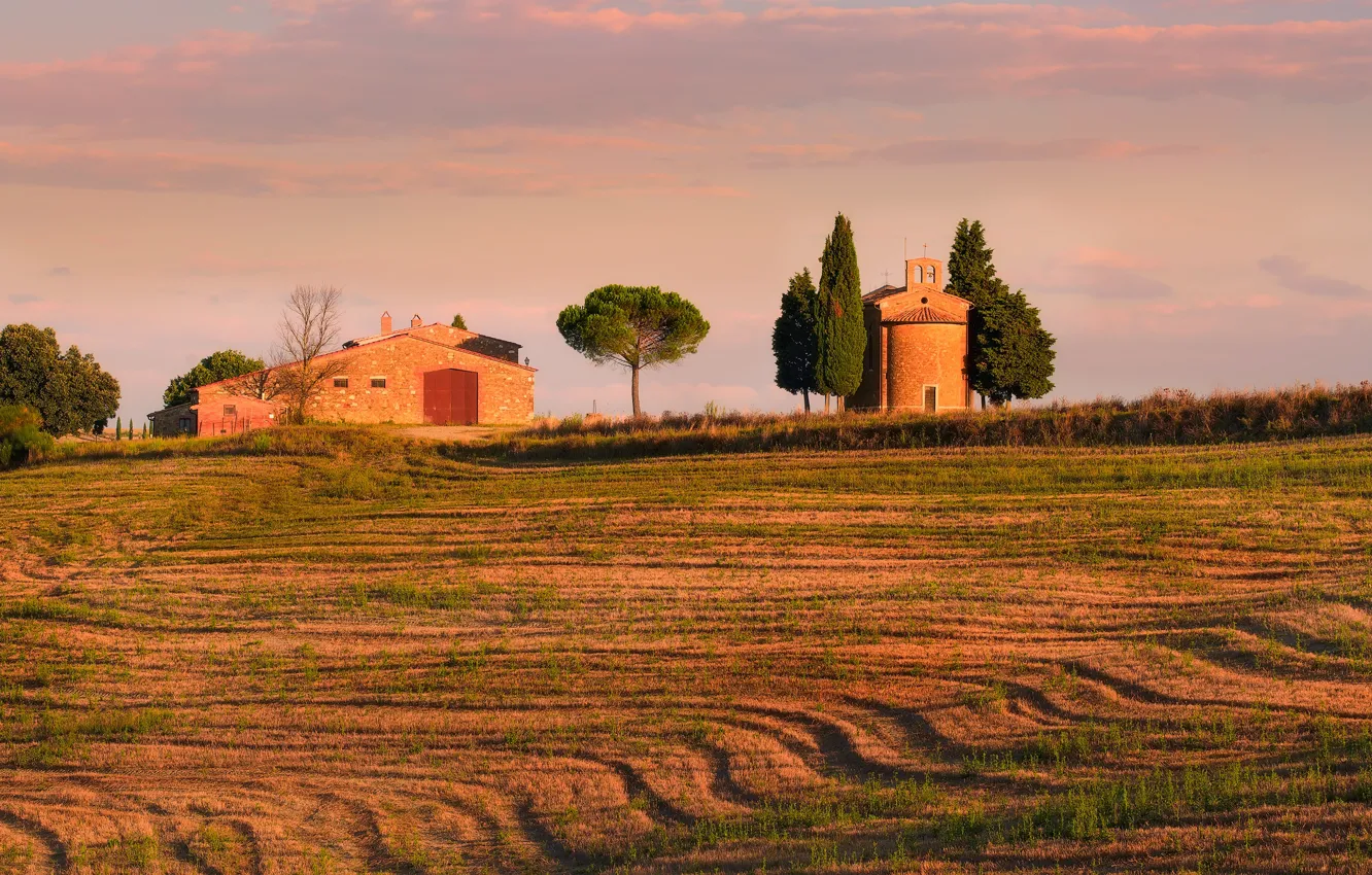 Photo wallpaper field, autumn, the sky, grass, clouds, trees, line, nature