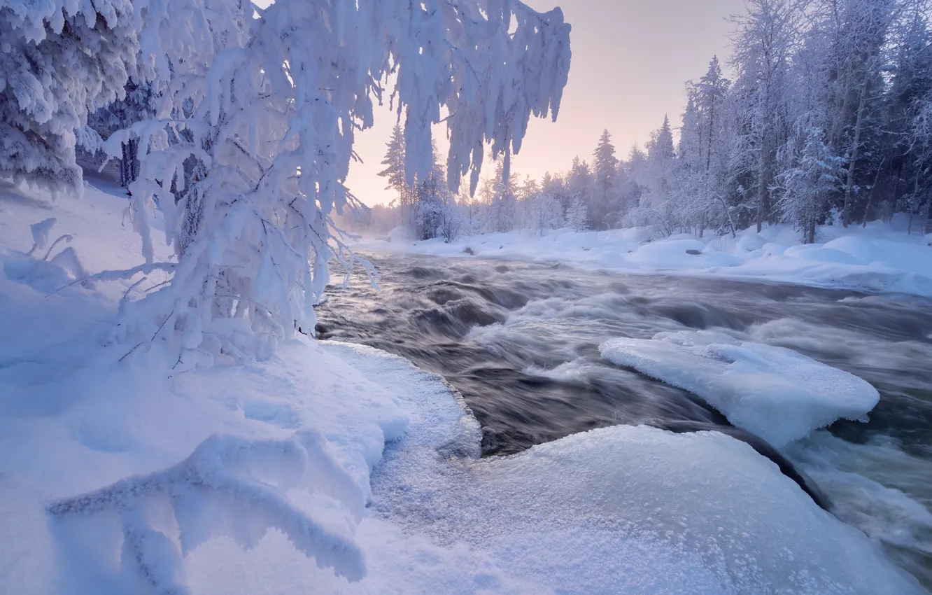 Photo wallpaper winter, forest, snow, trees, landscape, nature, river, frost