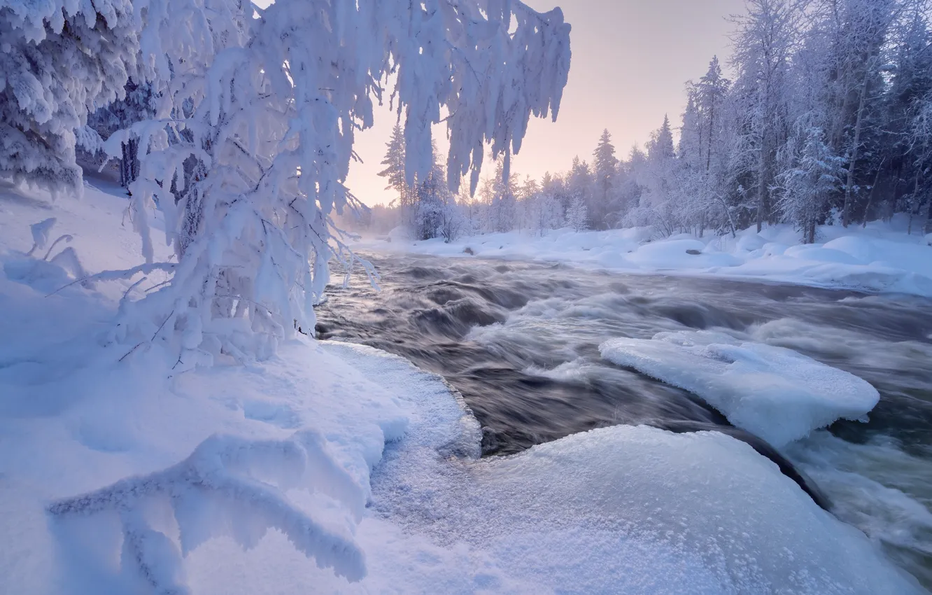 Photo wallpaper winter, forest, snow, trees, landscape, nature, river, shore
