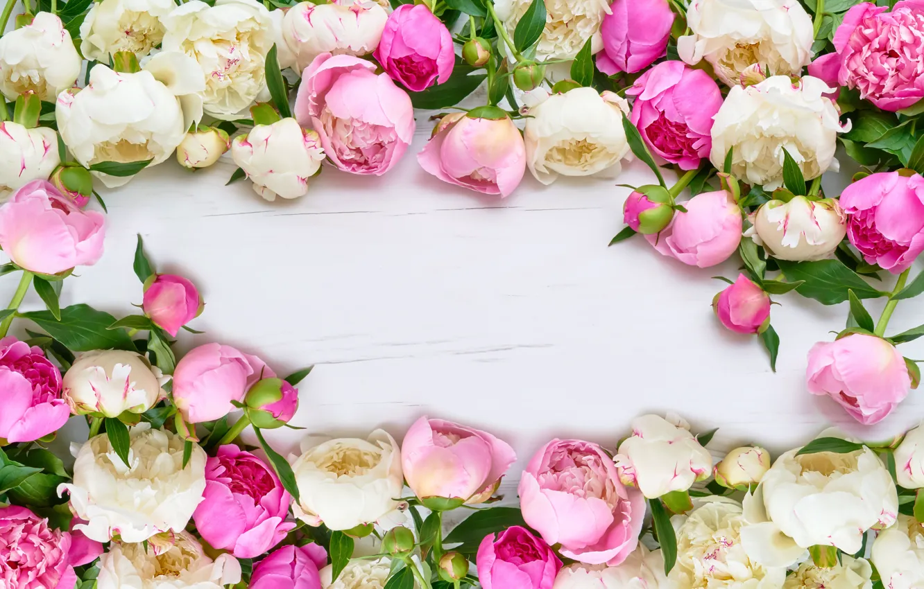 Photo wallpaper flowers, pink, white, peonies