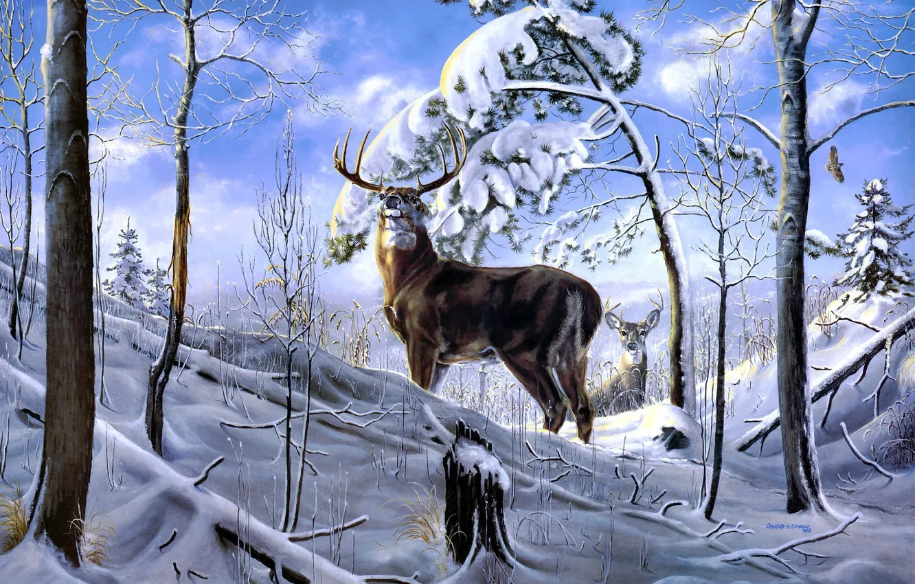 Photo wallpaper winter, forest, snow, trees, deer, art, Charles H. Denault