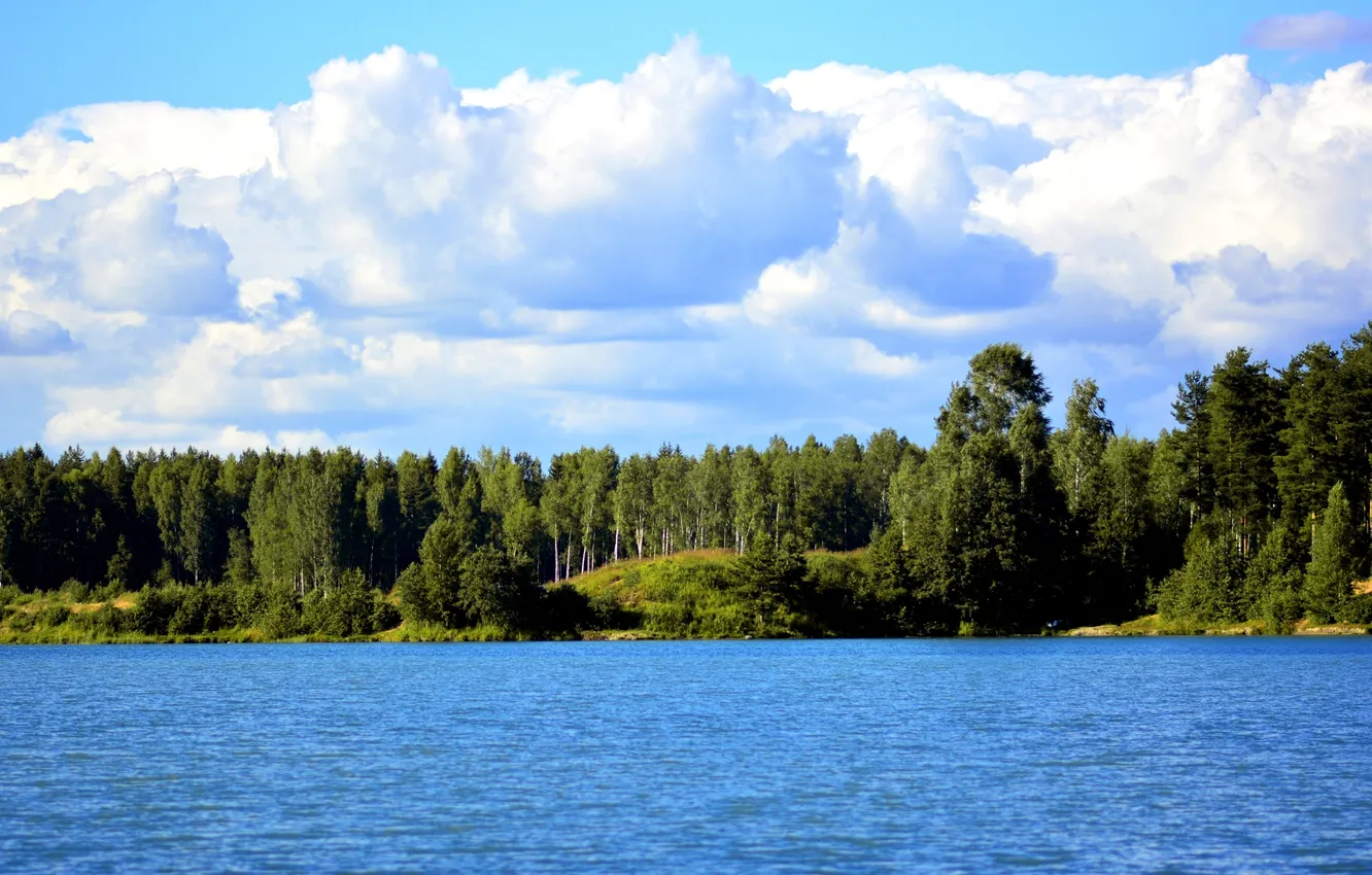 Photo wallpaper forest, summer, clouds, trees, lake, shore