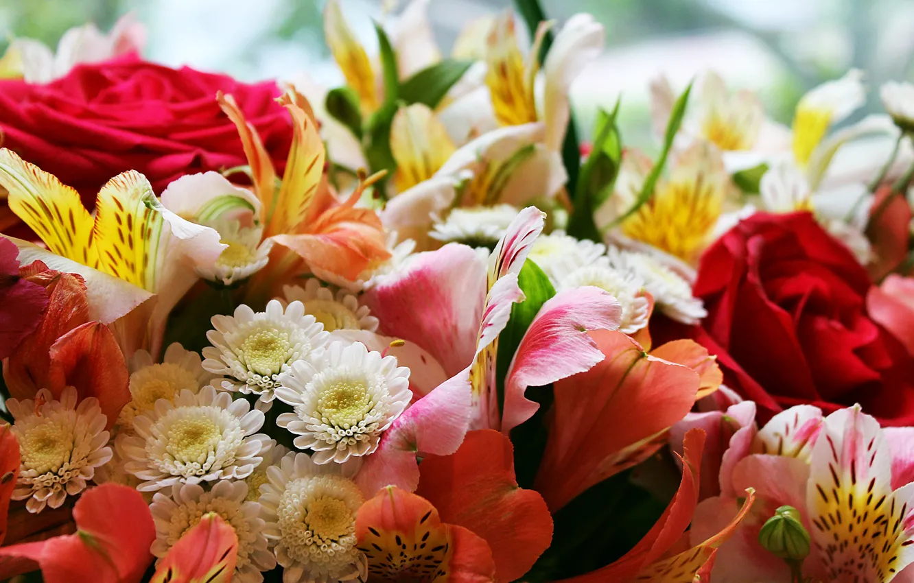 Photo wallpaper roses, bouquet, flower garden, flower cuts