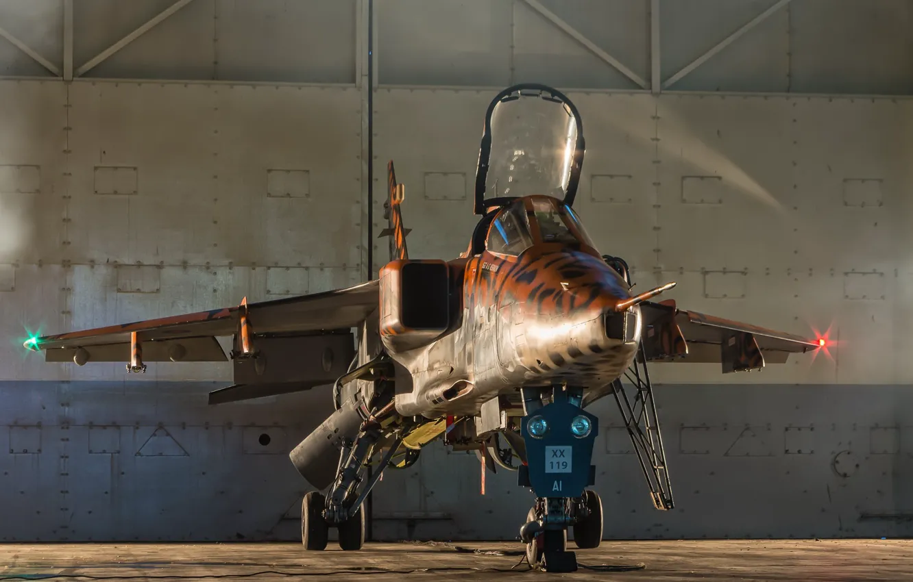 Photo wallpaper weapons, Jaguar, the plane