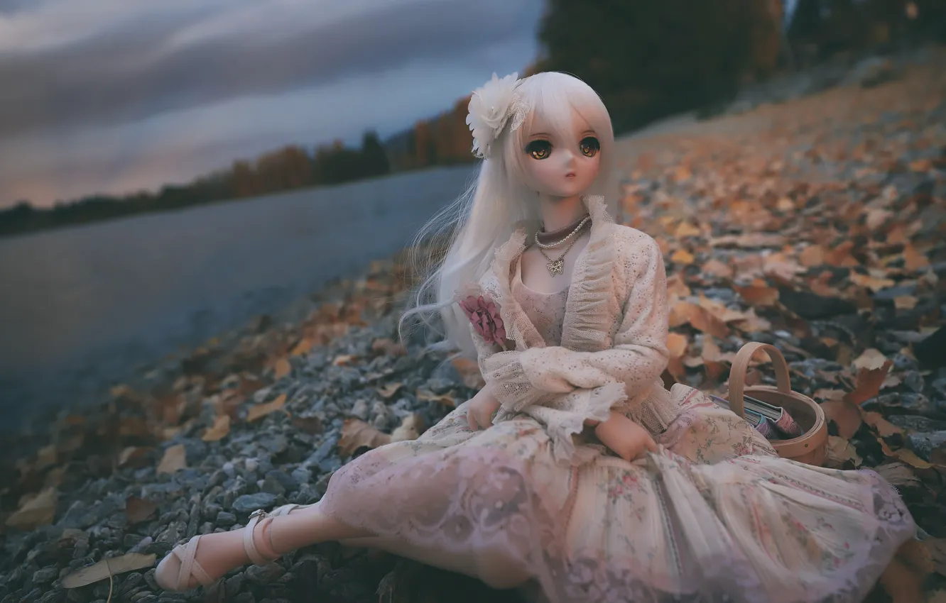 Photo wallpaper sea, toy, doll, dress