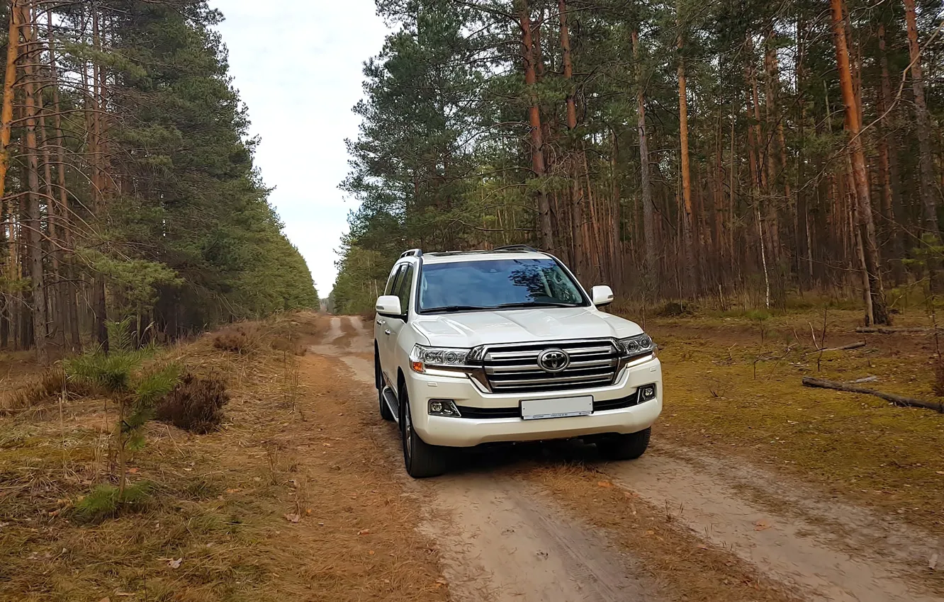 Photo wallpaper forest, nature, jeep, LC200