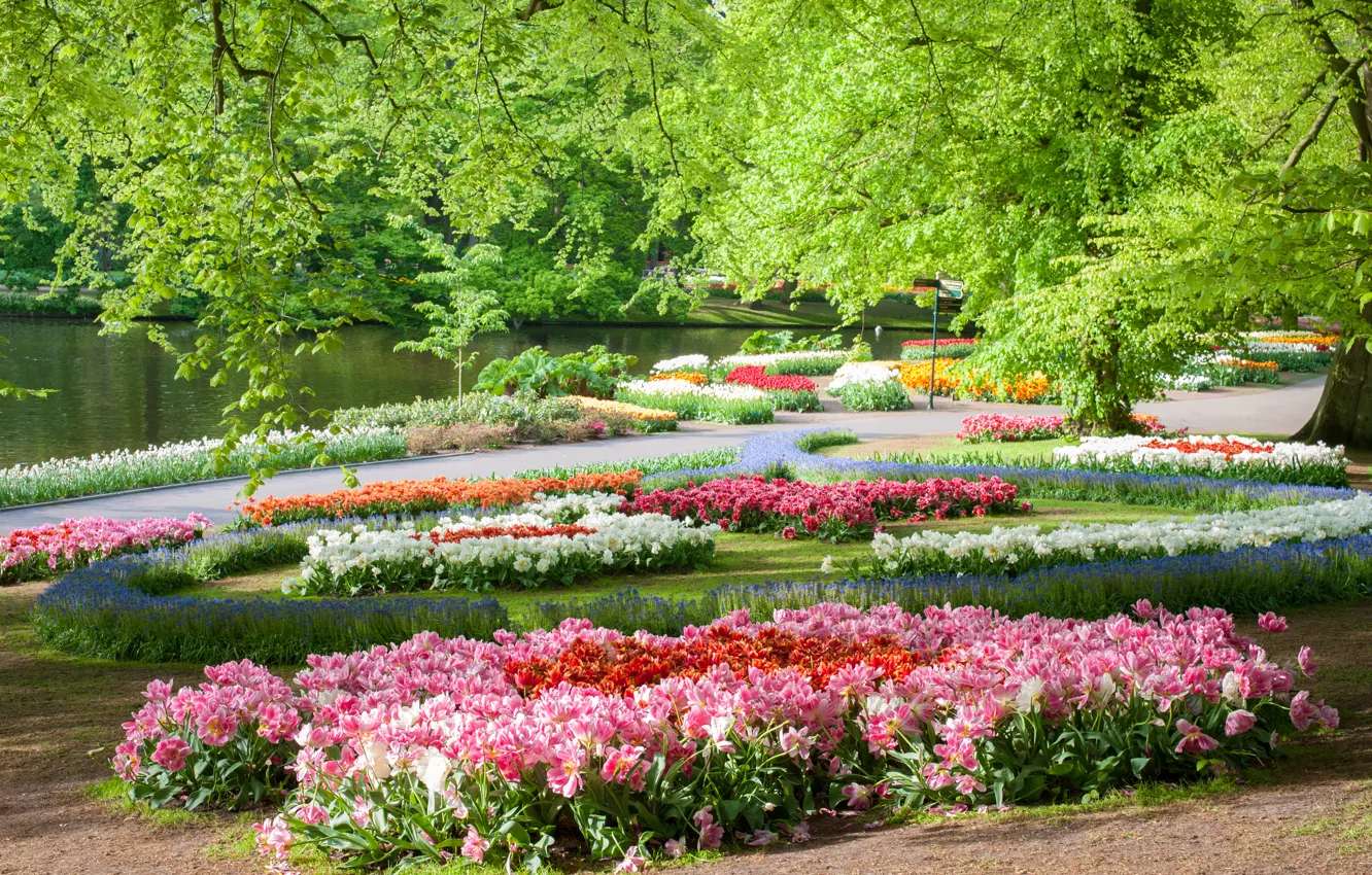 Photo wallpaper trees, flowers, pond, Park, Netherlands, Keukenhof Gardens