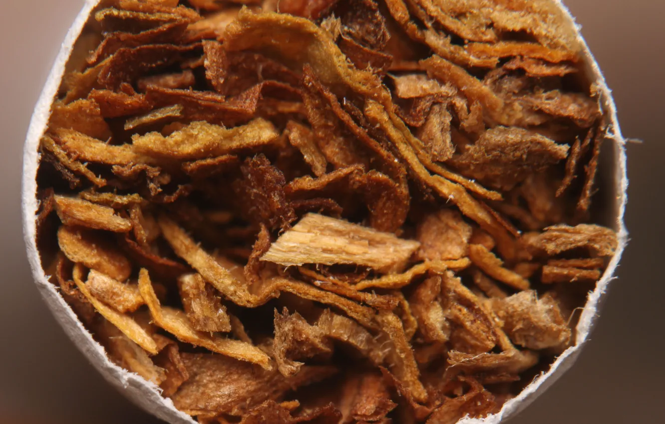 Photo wallpaper paper, macro, cigarette, sleeve, the end, tobacco