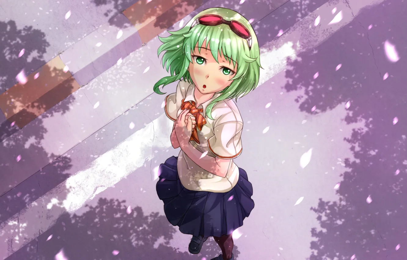 Photo wallpaper road, surprise, shadow, spring, petals, glasses, vocaloid, green hair
