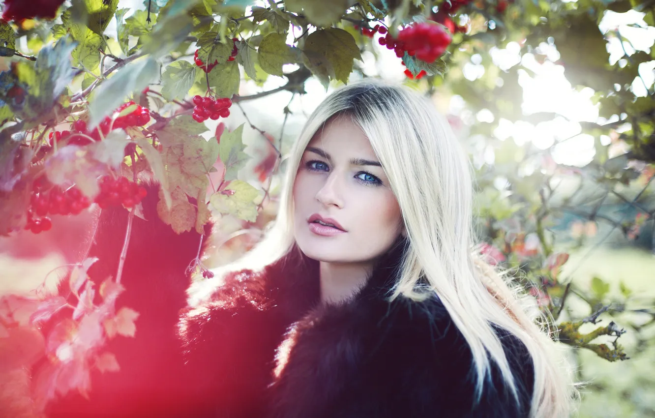 Photo wallpaper look, girl, background