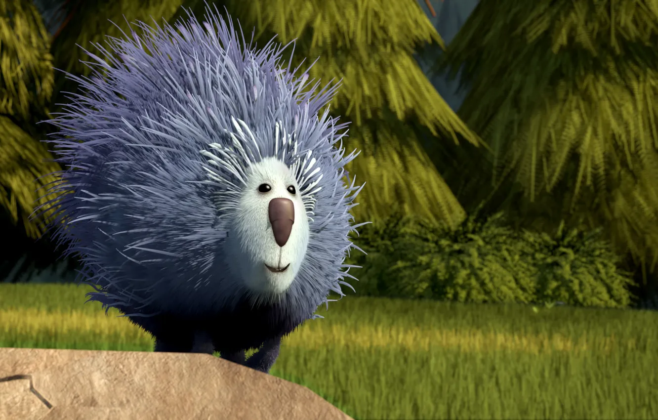 Photo wallpaper nature, Hunting Season, porcupine, brother