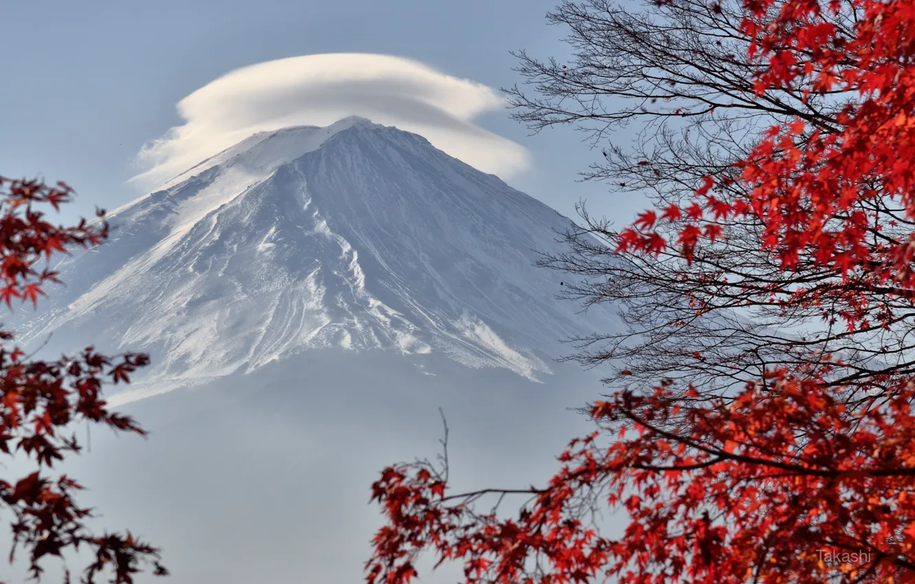 Photo wallpaper cloud, Japan, red leaves, Fuji, Fuji, Takashi