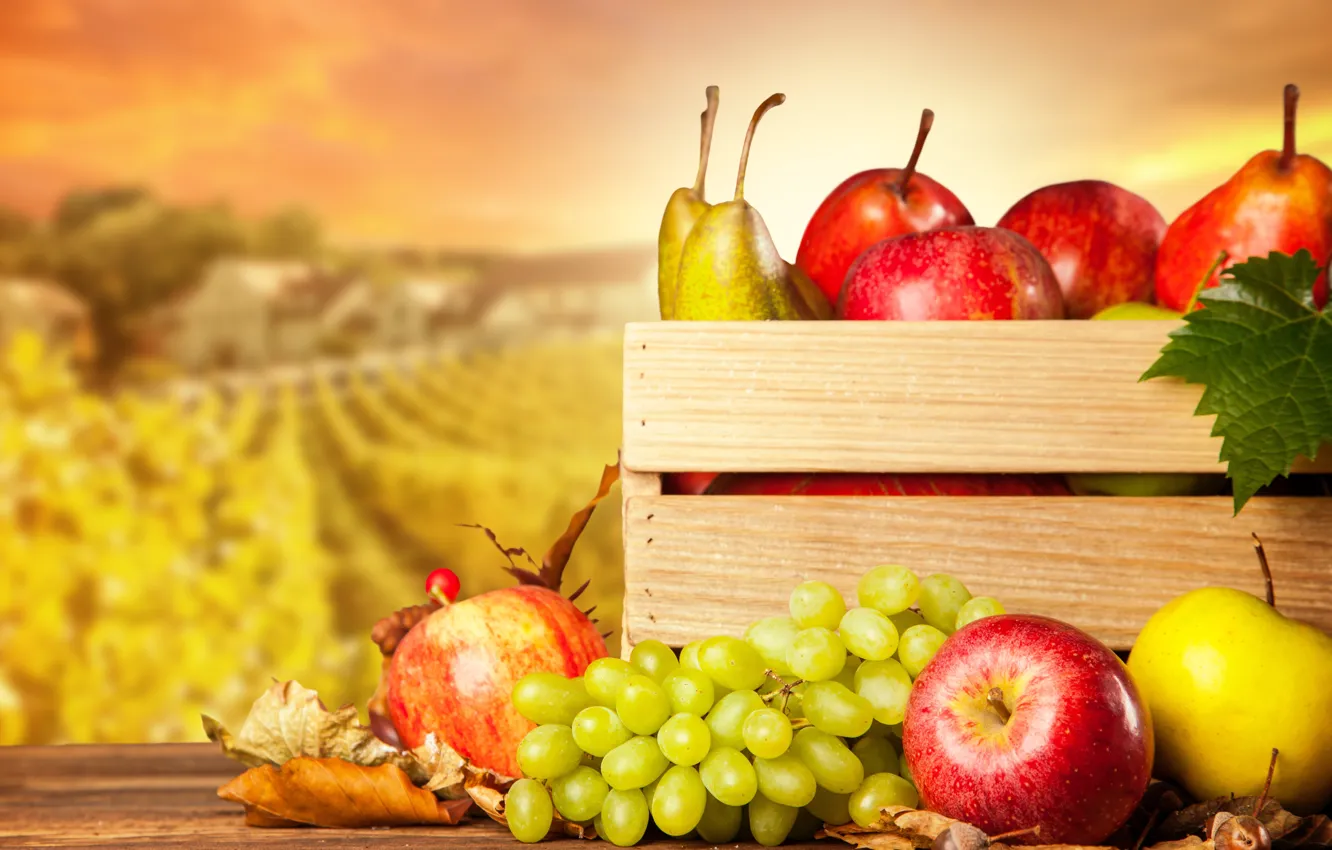 Photo wallpaper autumn, apples, harvest, grapes, fruit, box, pear