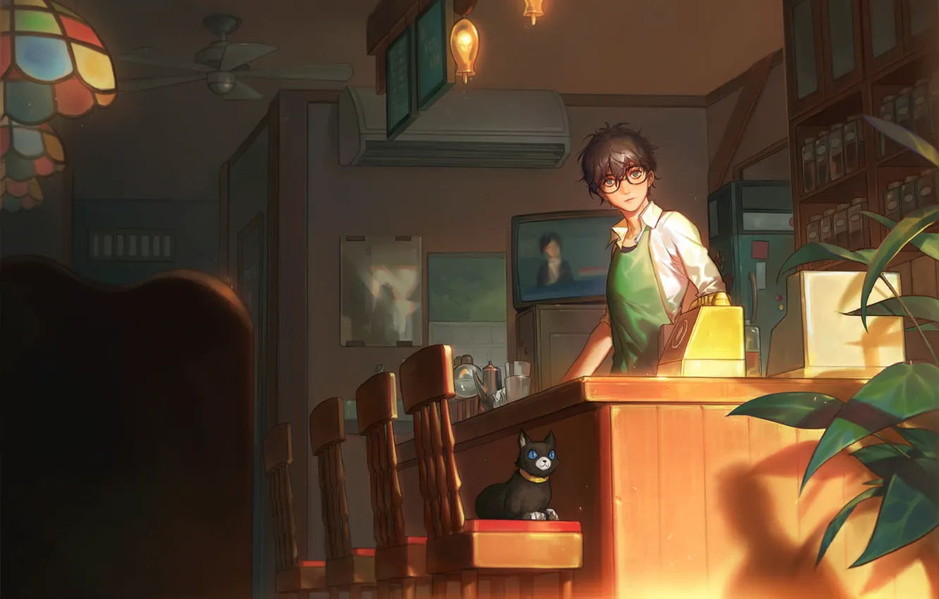 Photo wallpaper cat, bar, TV, guy, Person 5, person