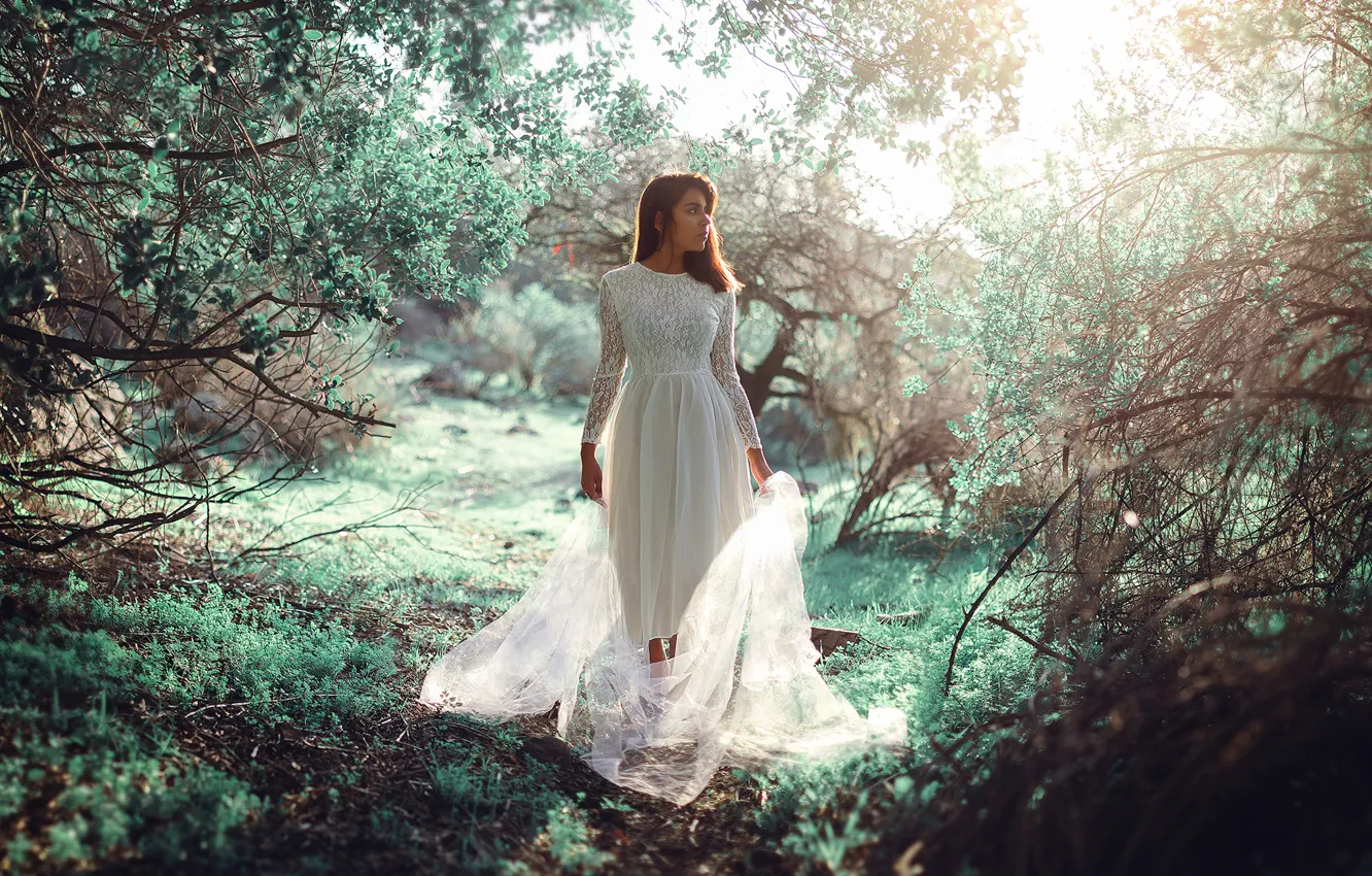 Photo wallpaper girl, nature, dress, Green spring, Ronny Garcia