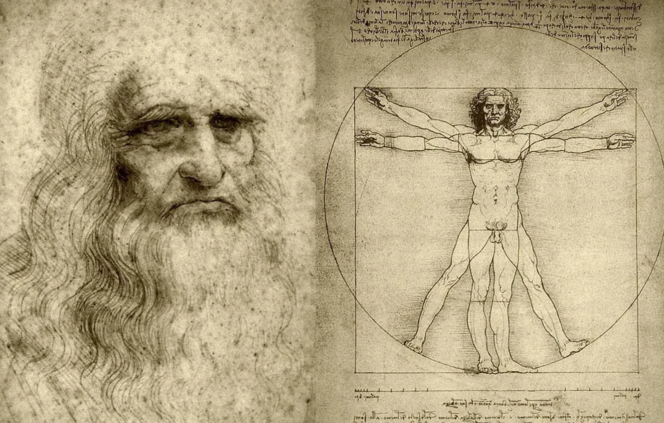 Photo wallpaper figure, artist, Leonardo da Vinci, scientist, Vitruvian man