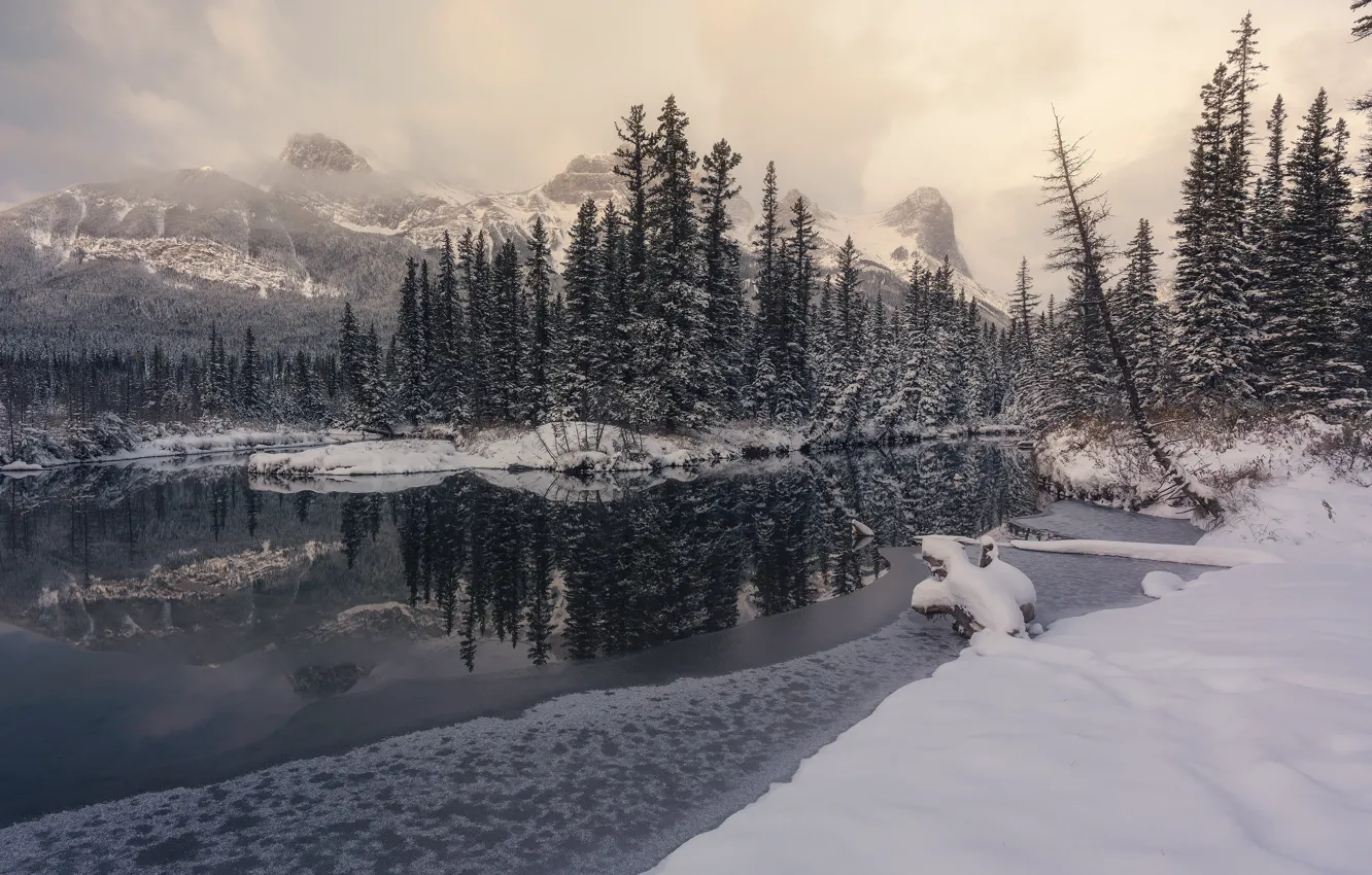 Photo wallpaper winter, forest, clouds, snow, mountains, lake, reflection, shore