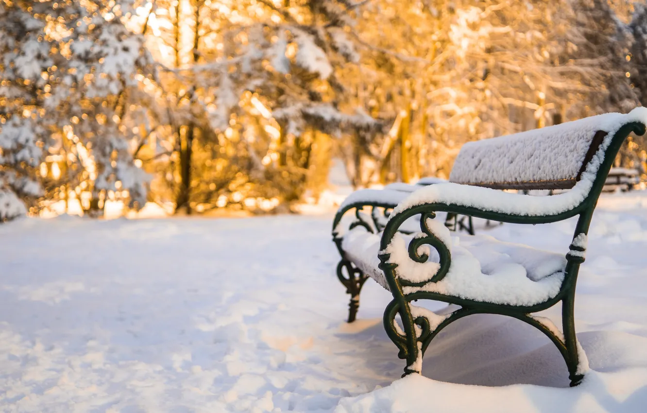 Photo wallpaper snow, bench, snow, bench, winter park, Winter Park