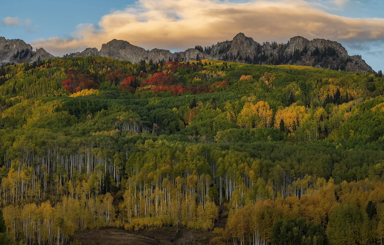 Photo wallpaper autumn, forest, clouds, mountains, dal, slope