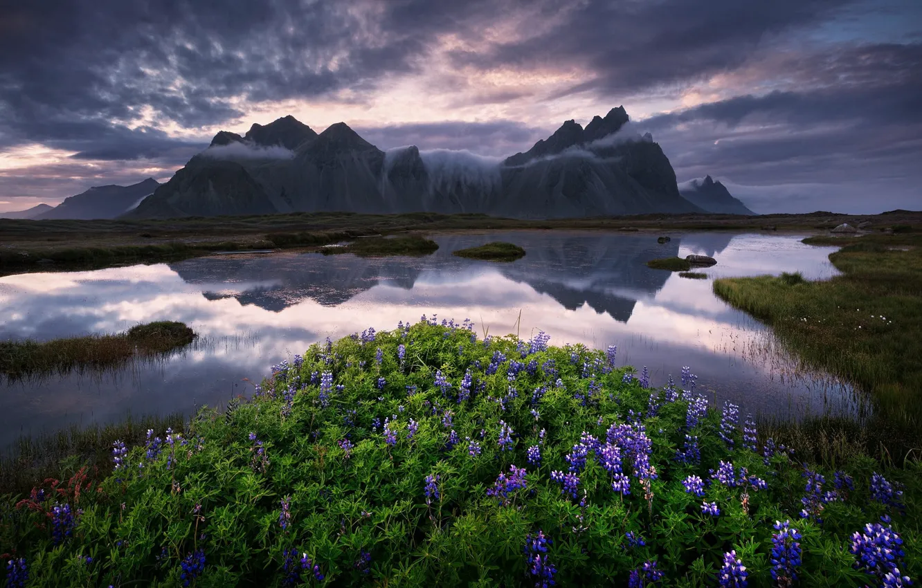 Photo wallpaper summer, the sky, clouds, flowers, mountains, clouds, lake, reflection