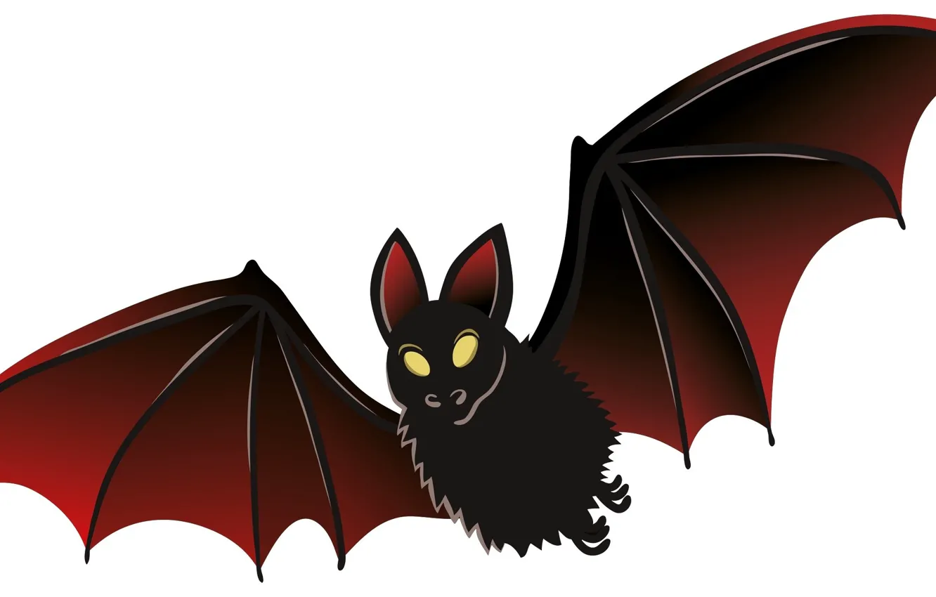 Photo wallpaper white background, Halloween, bat