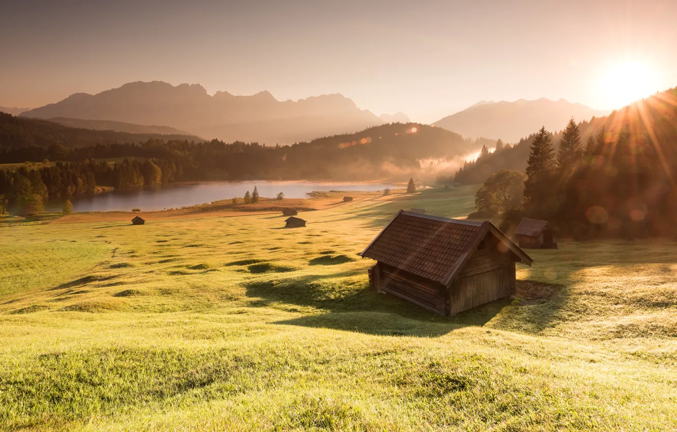 Photo wallpaper field, forest, the sky, grass, the sun, rays, light, landscape