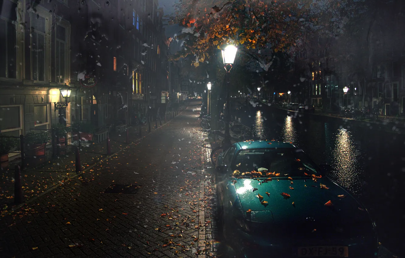 Photo wallpaper auto, autumn, leaves, water, night, rain, street, Amsterdam