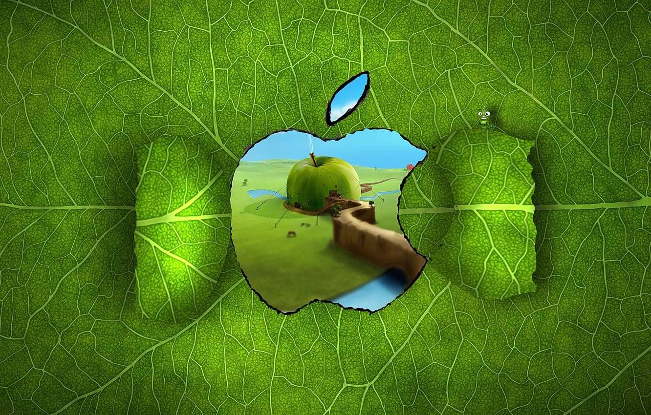 Photo wallpaper greens, caterpillar, sheet, house, apple, Apple, window, ropes