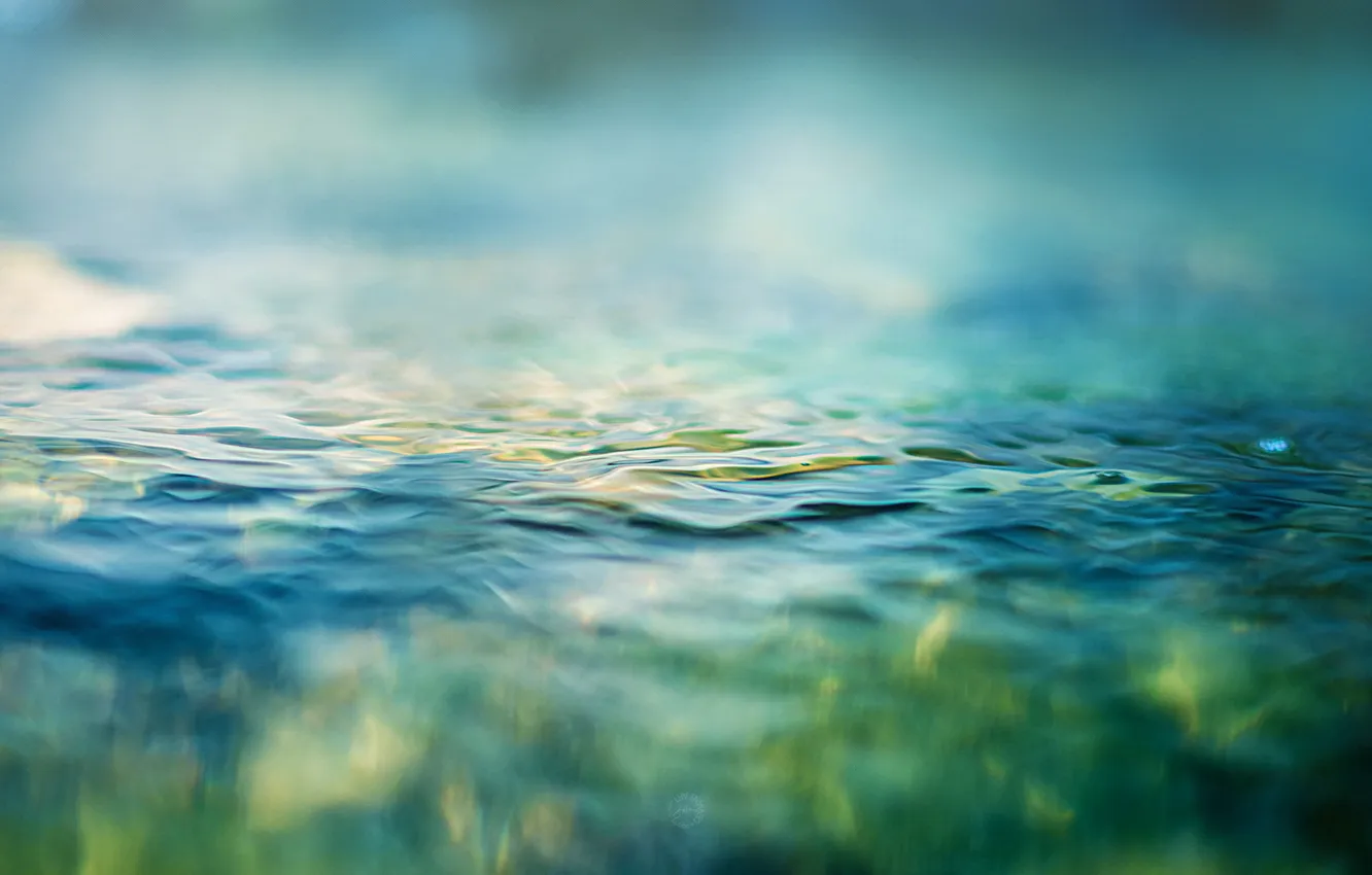 Photo wallpaper water, macro, beauty, blur, macro