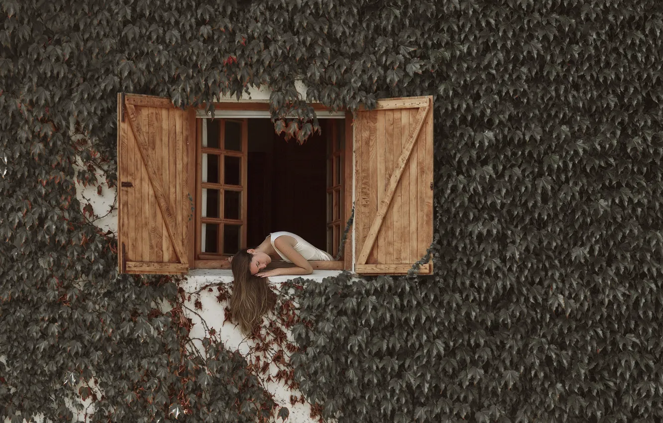 Photo wallpaper leaves, girl, face, hair, window, shutters