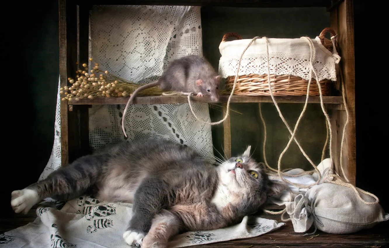 Photo wallpaper cat, basket, rat, cat and mouse